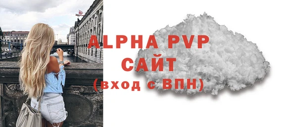 PSILOCYBIN Бородино