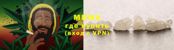 PSILOCYBIN Бородино