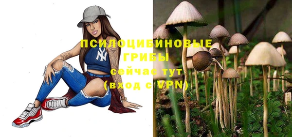 метадон Богородск