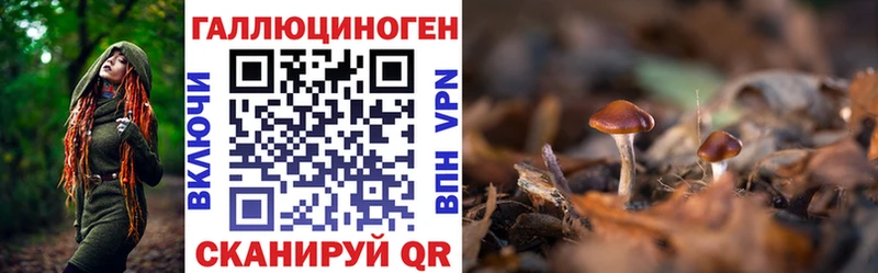 Галлюциногенные грибы GOLDEN TEACHER Новый Оскол